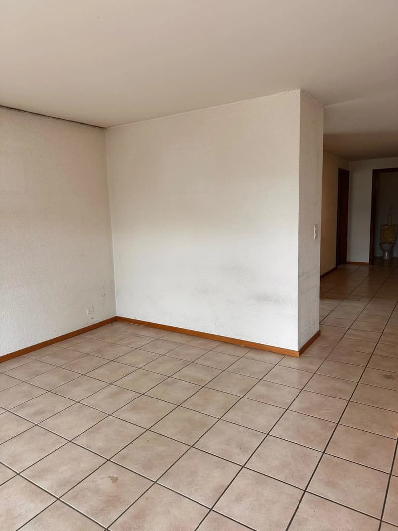 Vétroz - Grand 2,5 pièces à rénover - Balcon Sud-Ouest - Au calme (7)