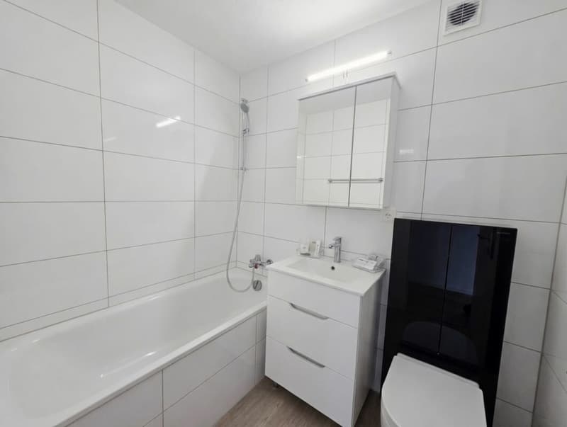 1er loyer offert ! Magnifique 2.5 pièces entièrement rénové avec balcon privatif ! (3)