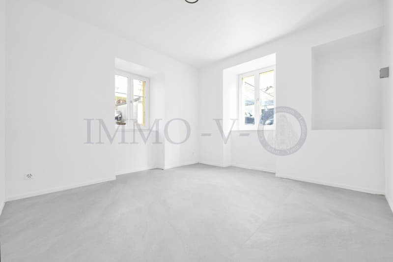 RENOVE DE STANDING AVEC EMPLACEMENT IDEAL (3)