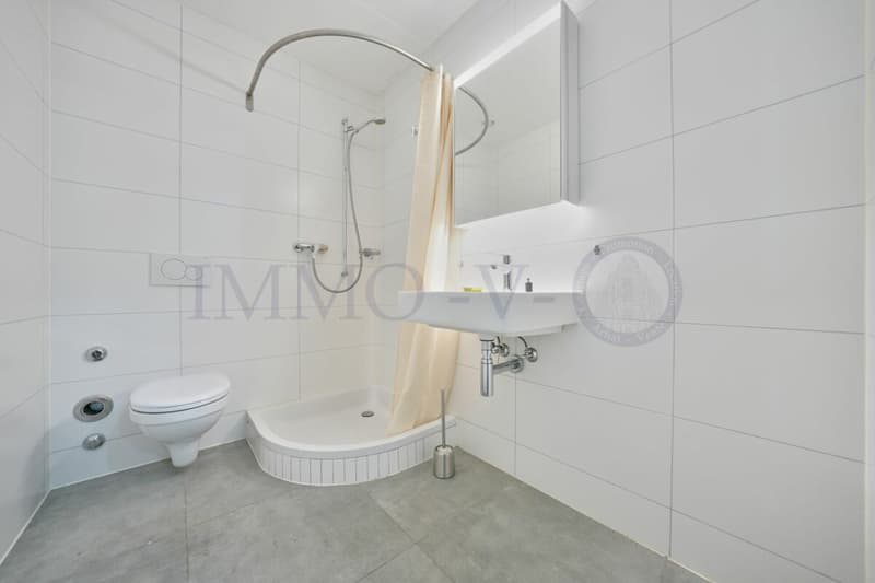 SPACIEUX LOCAL COMMERCIAL AVEC EMPLACEMENT IDEAL (6)