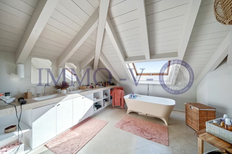 EXCLUSIVE AVEC PISCINE INTERIEURE ET GRANDE PARCELLE (9)