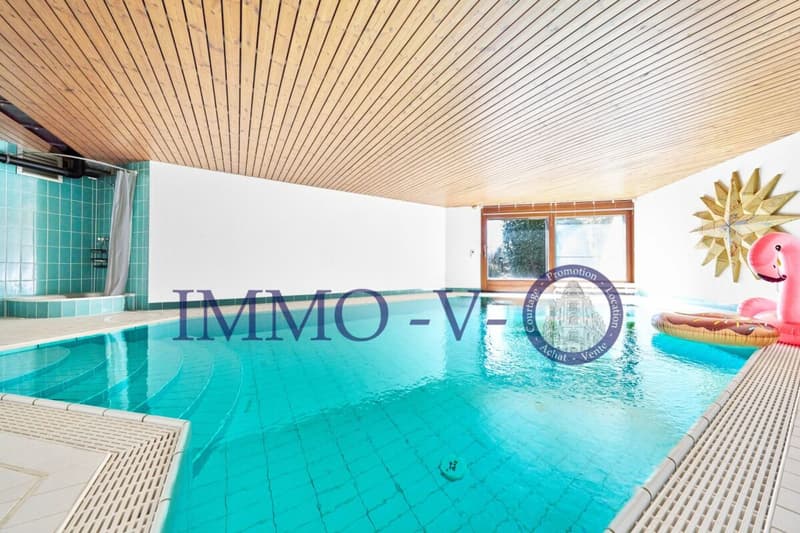 EXCLUSIVE AVEC PISCINE INTERIEURE ET GRANDE PARCELLE (13)