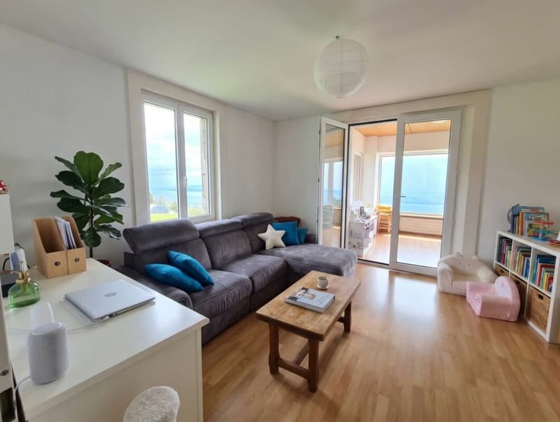 Magnifique duplex de 5,5 pièces avec véranda et vue panoramique (4)