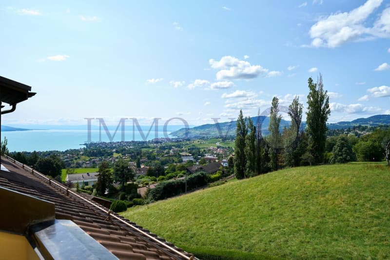 SPACIEUX ET RENOVE AVEC CACHET AVEC BALCON-TERASSE VUE LAC (2)