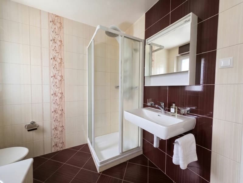 Coup de coeur : Magnifique 3,5 pièces entièrement rénové avec vue sur la ville (7)