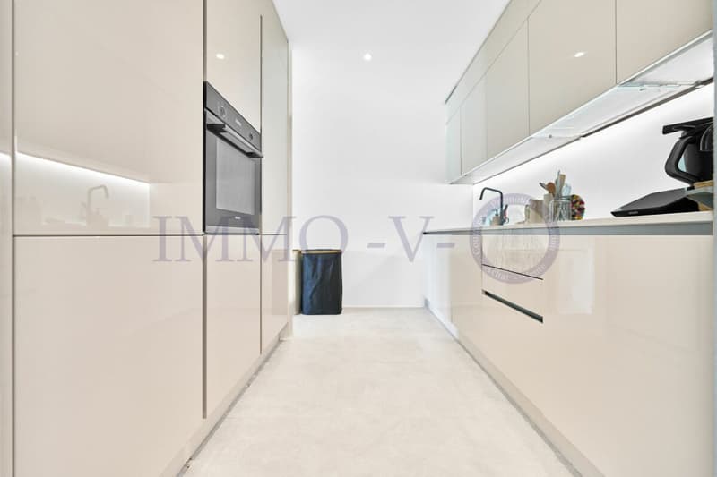 CONTEMPORAIN DE STANDING AVEC GRAND BALCON (4)