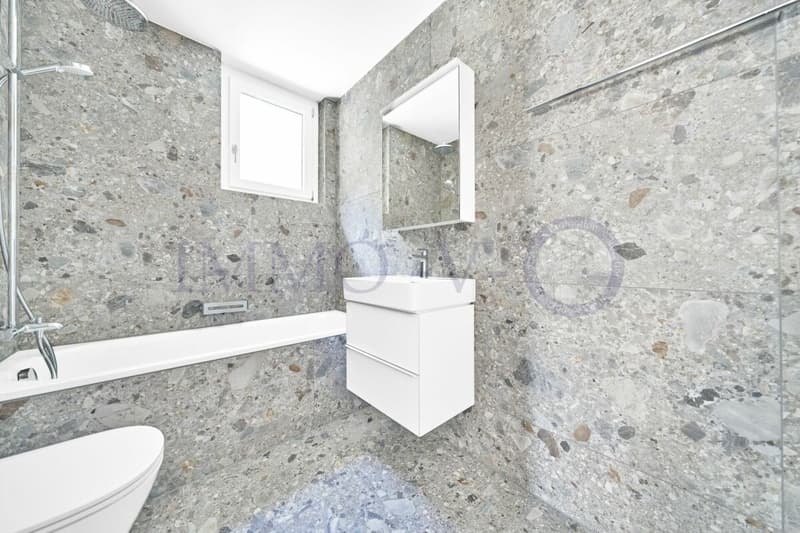 NEUF DE HAUT STANDING AVEC BALCON-TERRASSE ET VUE PANORAMIQUE - LOT 3 (13)