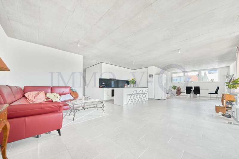 NEUF ET CONTEMPORAIN DE HAUT STANDING AVEC BALCON-TERRASSE (2)