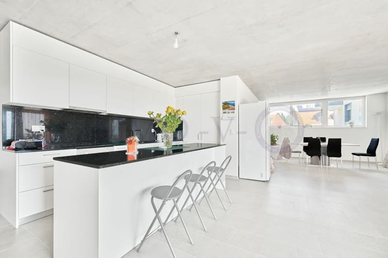 NEUF ET CONTEMPORAIN DE HAUT STANDING AVEC BALCON-TERRASSE (3)