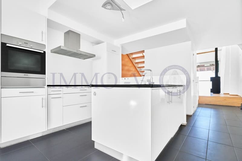SPACIEUX DUPLEX RENOVE AVEC CACHET (5)