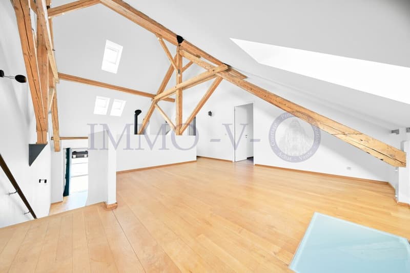 SPACIEUX DUPLEX RENOVE AVEC CACHET (1)