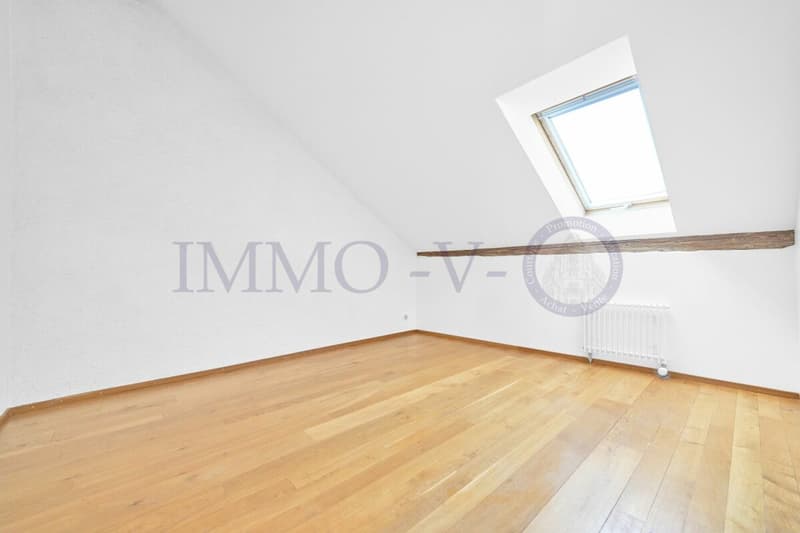 SPACIEUX DUPLEX RENOVE AVEC CACHET (8)