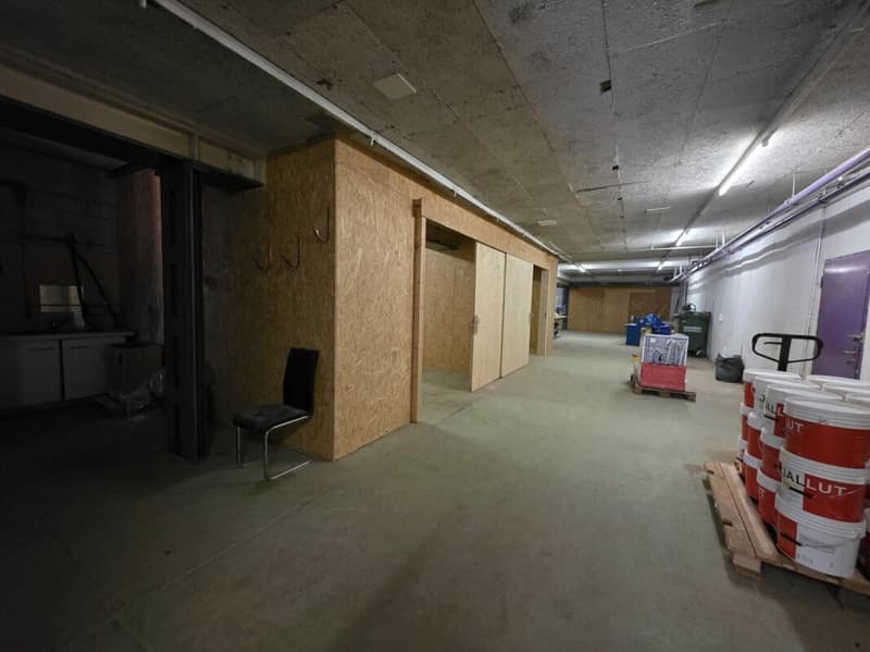 À LOUER - Grand Dépôt / Atelier de 360 m² - Idéal Activité Artisanale ou Stockage (5)