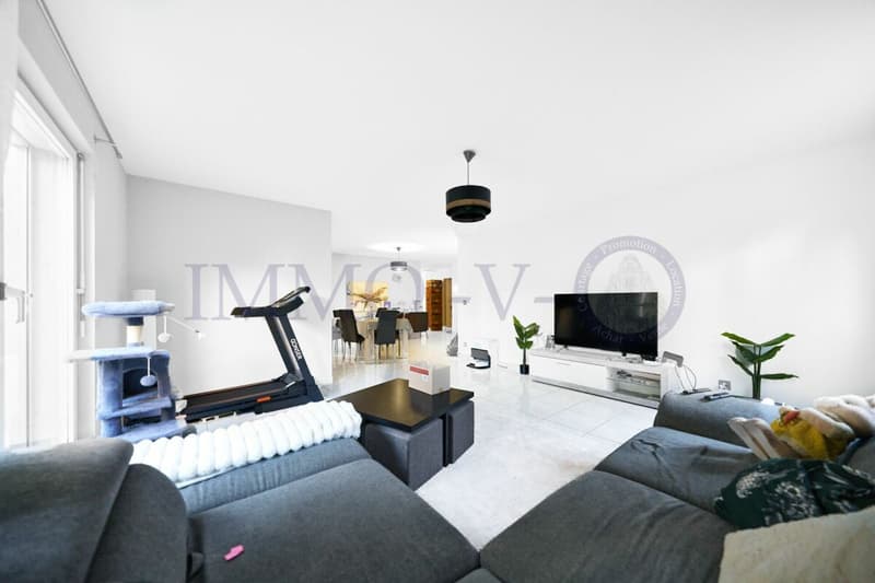 SPACIEUX AVEC GRANDE TERRASSE ET EMPLACEMENT IDEAL (3)