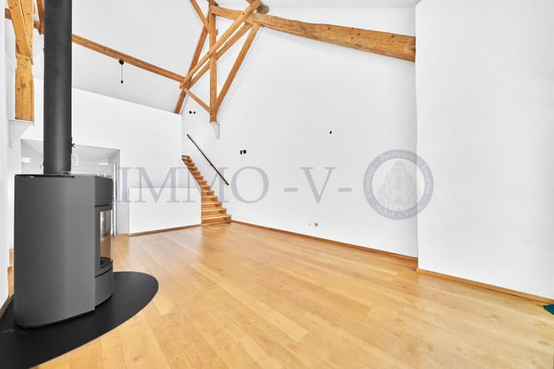 SPACIEUX DUPLEX RENOVE AVEC CACHET (2)