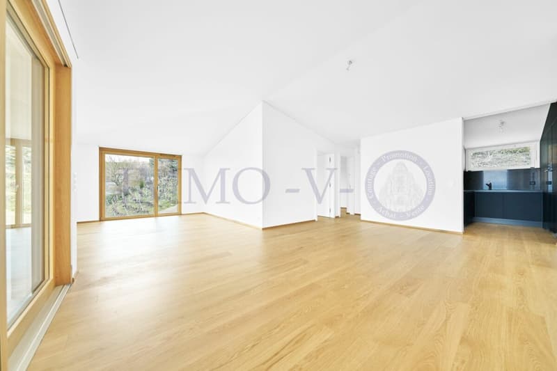 NEUF DE HAUT STANDING AVEC BALCON-TERRASSE ET VUE PANORAMIQUE - LOT 1 (6)