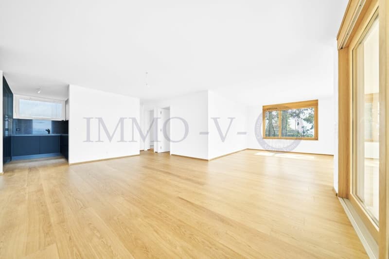 NEUF DE HAUT STANDING AVEC BALCON-TERRASSE ET VUE PANORAMIQUE - LOT 4 (6)