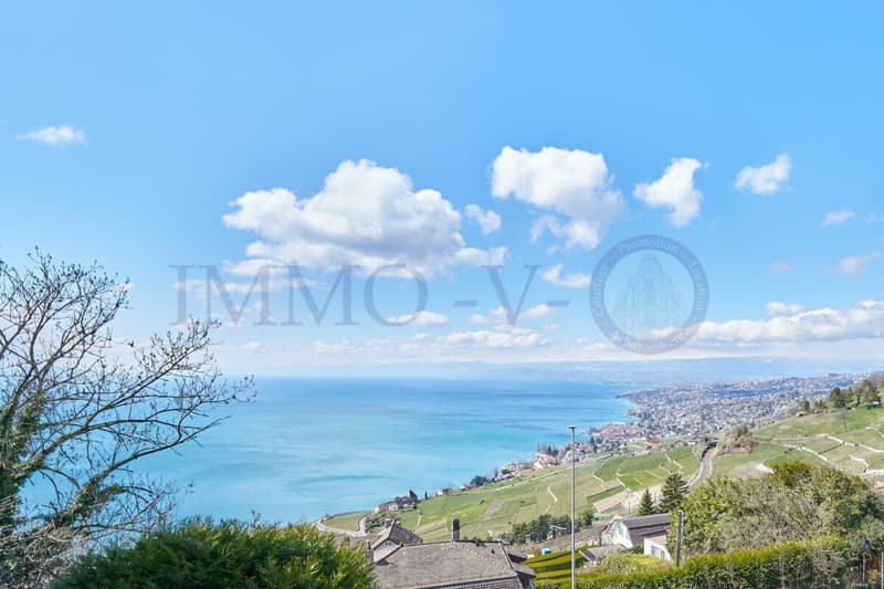 NEUF DE HAUT STANDING AVEC BALCON-TERRASSE ET VUE PANORAMIQUE - LOT 4 (1)