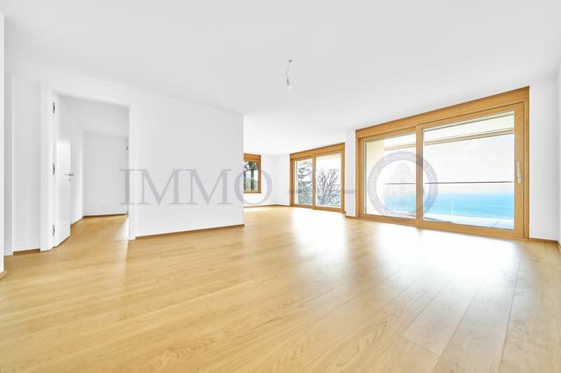 NEUF DE HAUT STANDING AVEC BALCON-TERRASSE ET VUE PANORAMIQUE - LOT 4 (3)