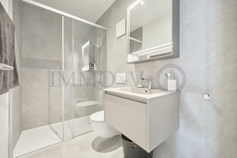 CONTEMPORAIN DE STANDING AVEC GRAND BALCON (7)