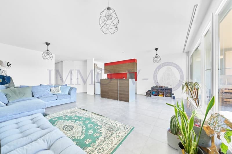 CONTEMPORAIN ET LUMINEUX AVEC BALCON-TERRASSE (2)