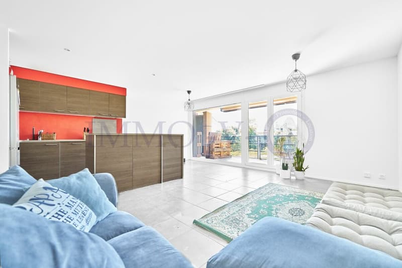 CONTEMPORAIN ET LUMINEUX AVEC BALCON-TERRASSE (3)