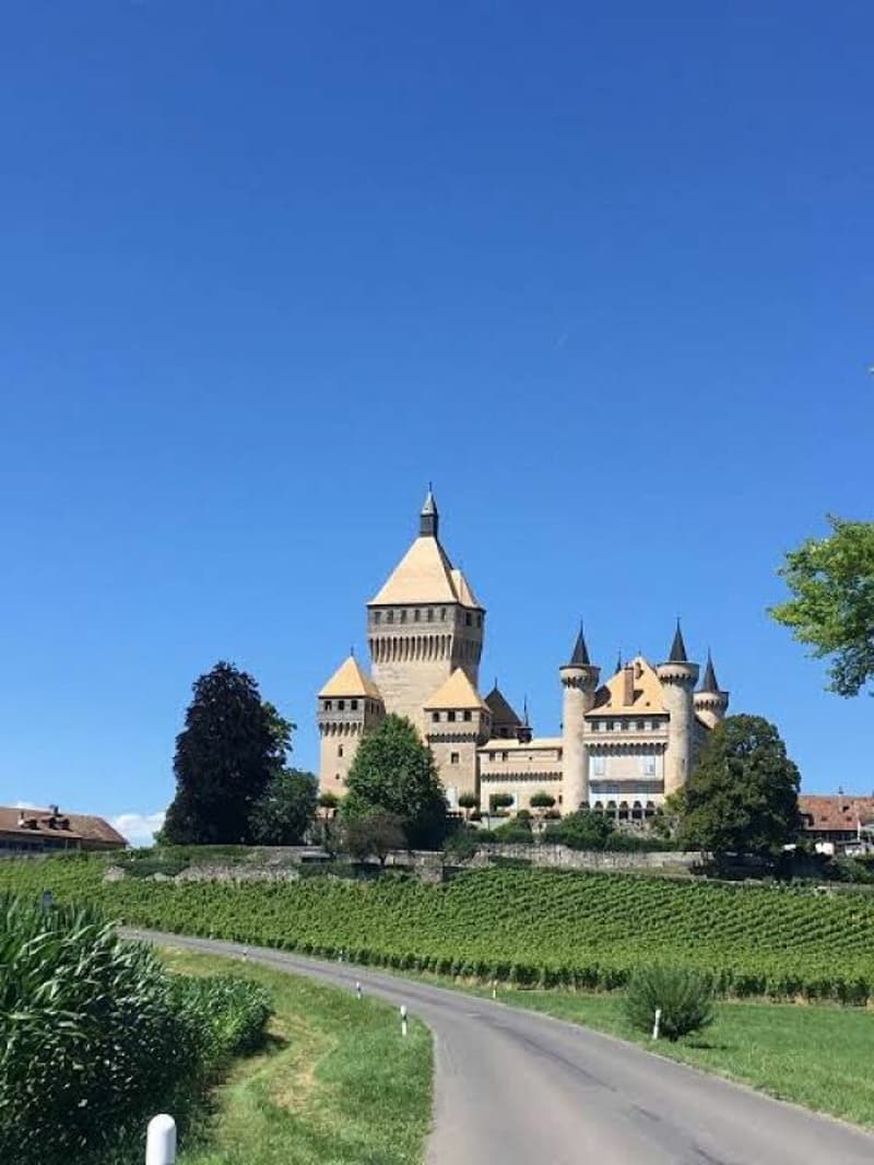 Villa individuelle avec piscine à Vufflens-le-Château : Superbe potentiel de rénovation (2)