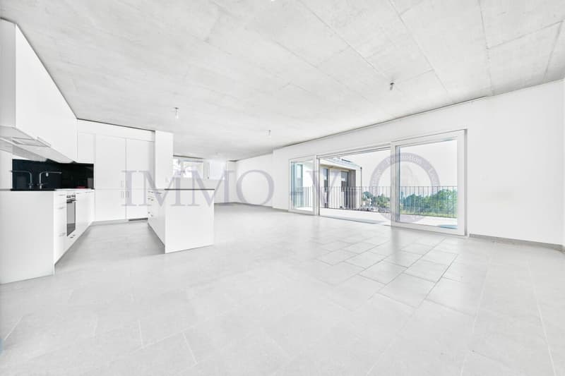NEUF ET CONTEMPORAIN DE HAUT STANDING AVEC BALCON-TERRASSE (2)