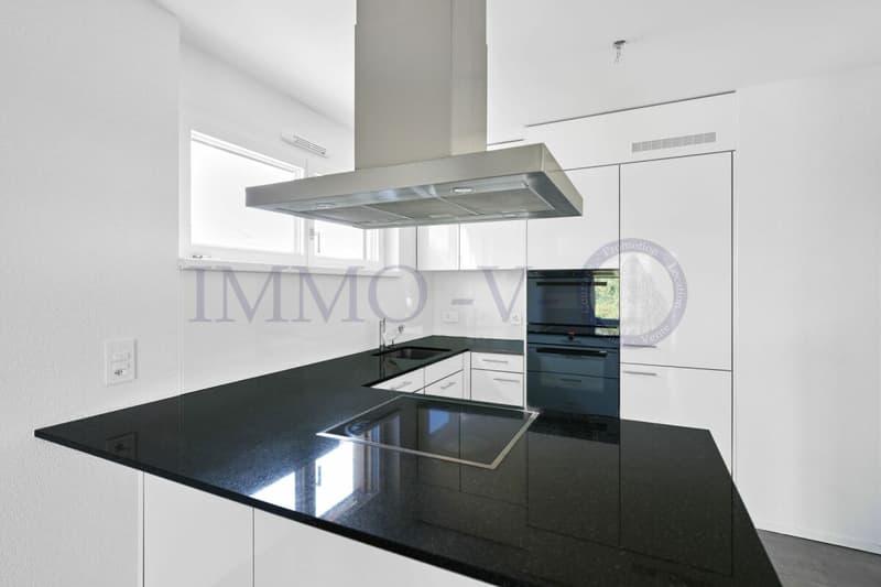 CONTEMPORAIN DE STANDING AVEC BALCON-TERRASSE PROCHE DU LAC (4)
