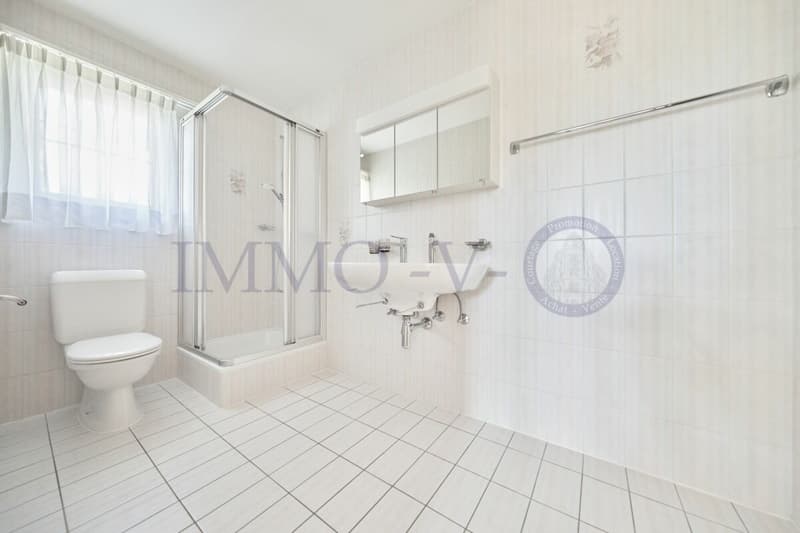SPACIEUSE VILLA DE STANDING AVEC GRANDE JARDIN ET PISCINE (12)