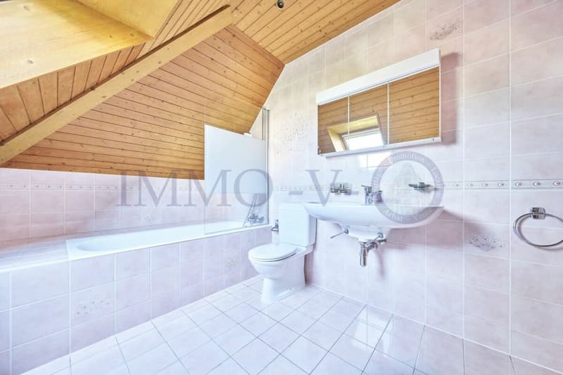 SPACIEUSE VILLA DE STANDING AVEC GRANDE JARDIN ET PISCINE (14)