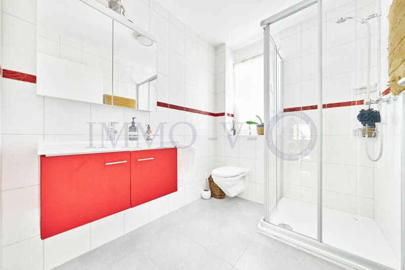 SPACIEUX DUPLEX AVEC TERRASSE ET BALCON (13)