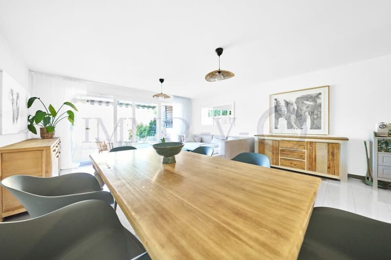 SPACIEUX DUPLEX AVEC TERRASSE ET BALCON (4)