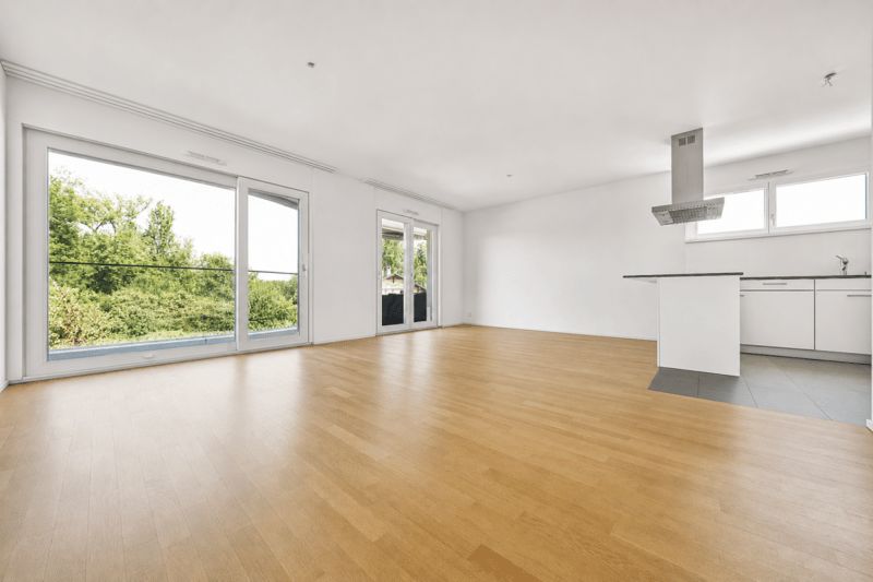 CONTEMPORAIN DE STANDING AVEC BALCON-TERRASSE PROCHE DU LAC (2)