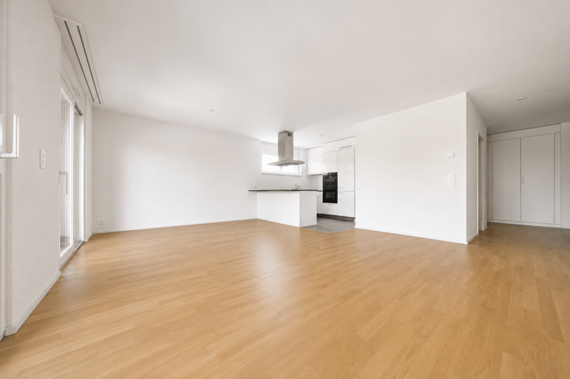 CONTEMPORAIN DE STANDING AVEC BALCON-TERRASSE PROCHE DU LAC (3)