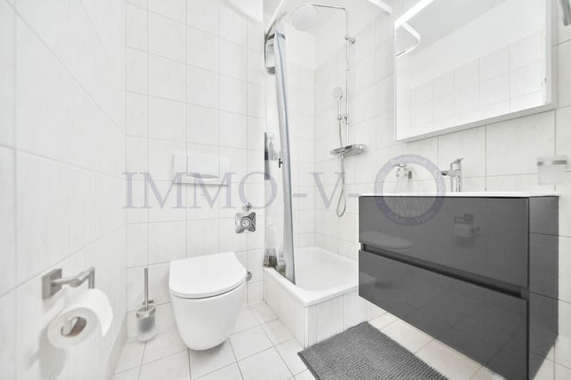 RENOVE ET MEUBLE AVEC TERRASSE - EMPLACEMENT IDEAL (6)