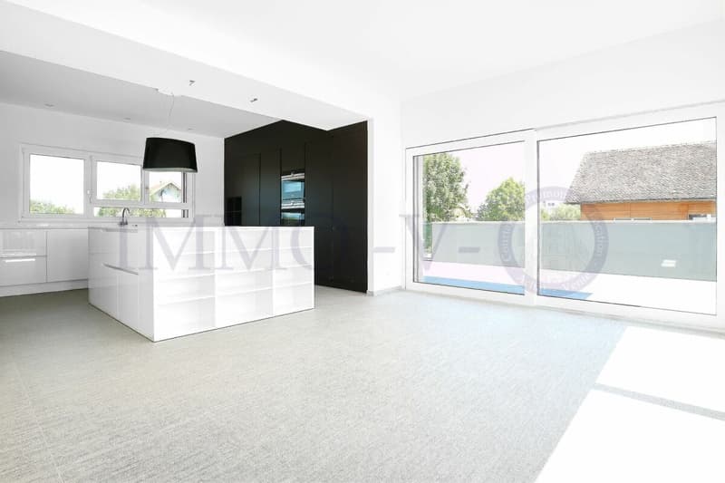 ATTIQUE DE STANDING AVEC GRAND BALCON TERRASSE DE 117M2 (4)