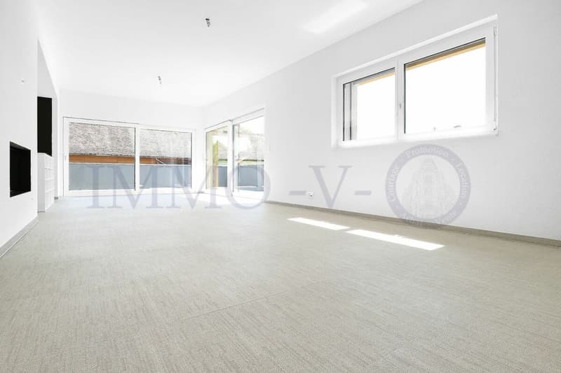 ATTIQUE DE STANDING AVEC GRAND BALCON TERRASSE DE 117M2 (3)
