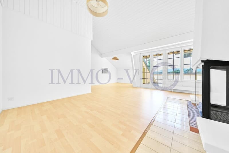 SPACIEUX ATTIQUE RENOVE AVEC CACHET AVEC BALCON-TERASSE VUE LAC (3)