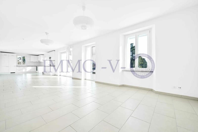 SPACIEUX ET LUMINEUX AVEC GRAND BALCON-TERRASSE DE 60M2 ET VUE LAC (4)