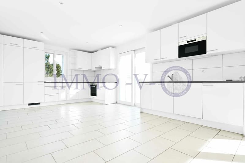 SPACIEUX ET LUMINEUX AVEC GRAND BALCON-TERRASSE DE 60M2 ET VUE LAC (3)