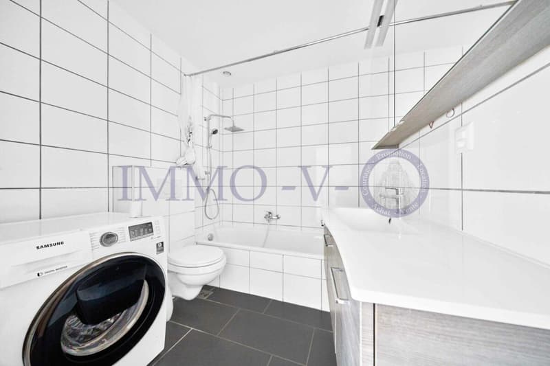 SPACIEUX ET LUMINEUX AVEC GRAND BALCON-TERRASSE DE 60M2 ET VUE LAC (10)