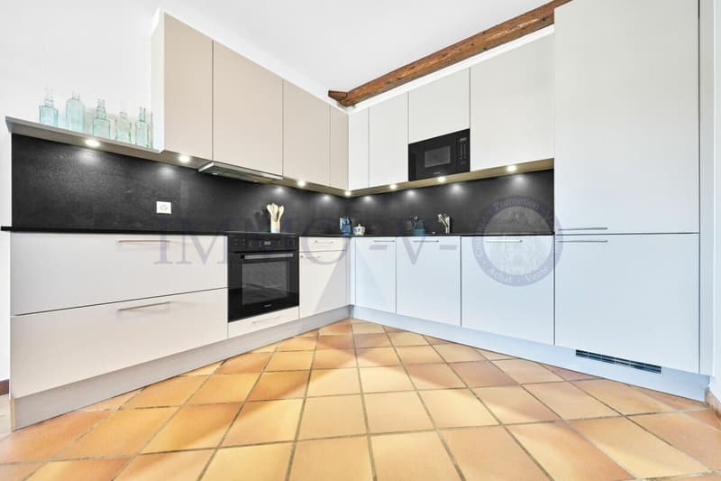 SPACIEUX AVEC CACHET ET EMPLACEMENT IDEAL - MEUBLE (4)