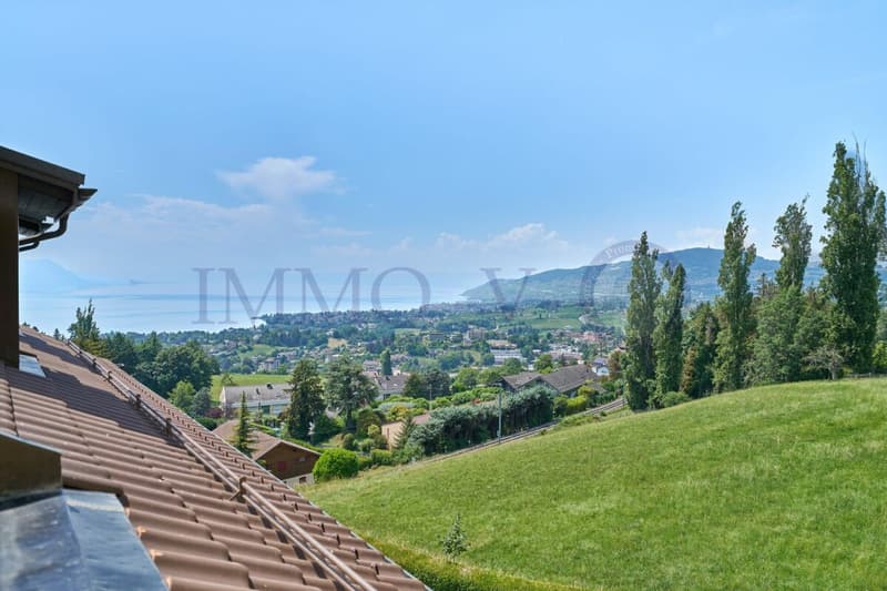 SPACIEUX ATTIQUE RENOVE AVEC CACHET AVEC BALCON-TERASSE VUE LAC (1)