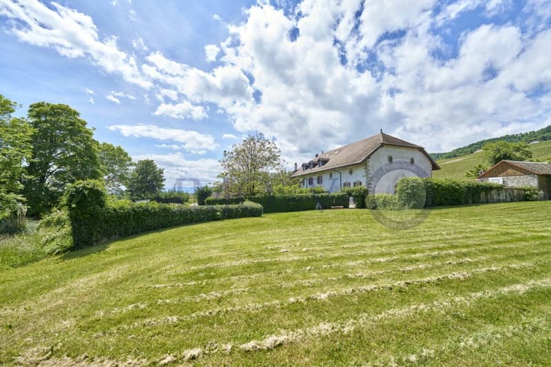 DUPLEX DE STANDING AVEC BEAU VOLUME (10)
