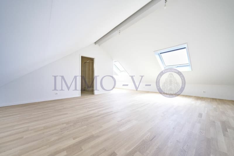 DUPLEX DE STANDING AVEC BEAU VOLUME (4)