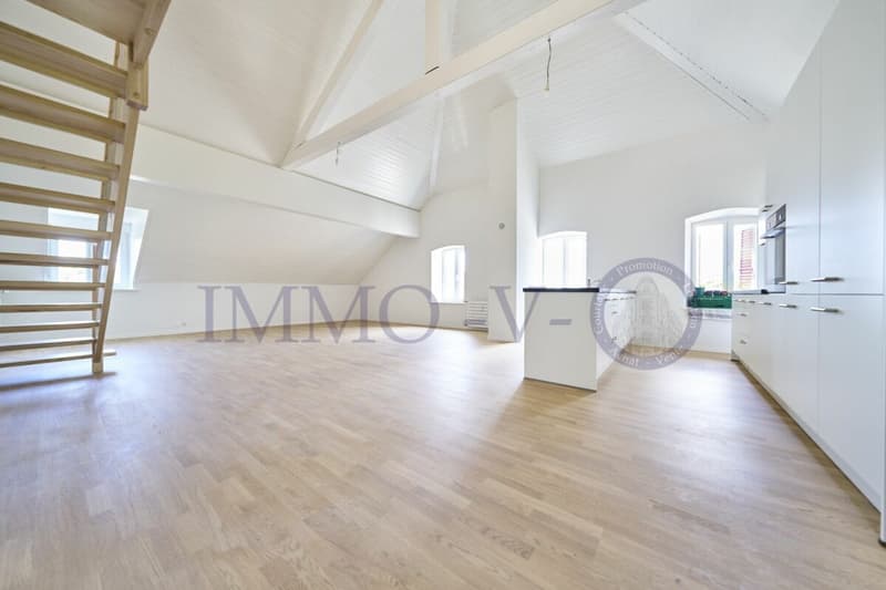 DUPLEX DE STANDING AVEC BEAU VOLUME (2)
