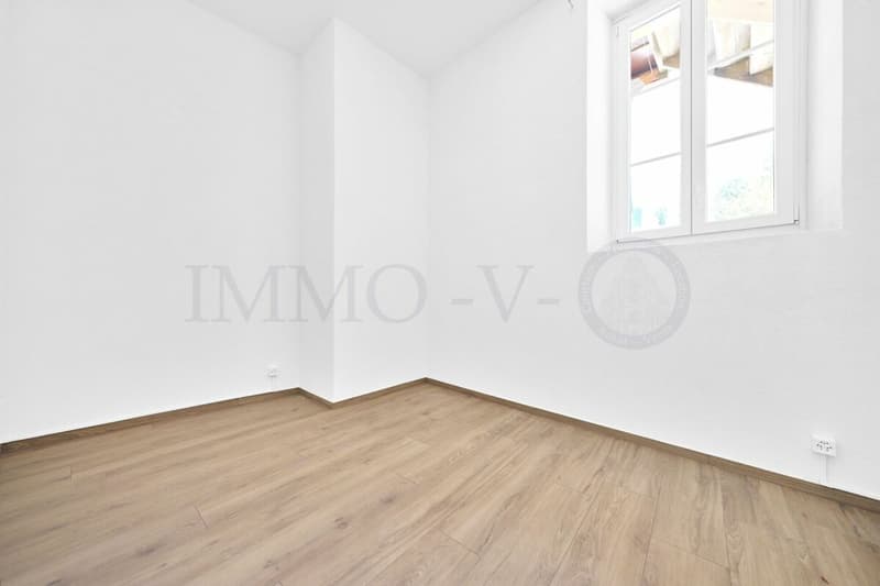 SPACIEUX ET RENOVE AVEC TERRASSE ET EMPLACEMENT IDEAL (6)