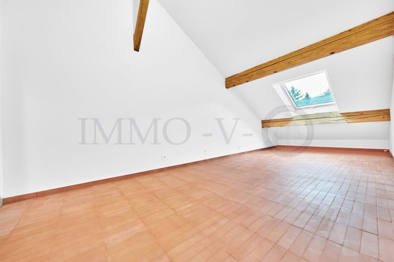 SPACIEUX ATTIQUE RENOVE DE STANDING AVEC EMPLACEMENT IDEAL (8)