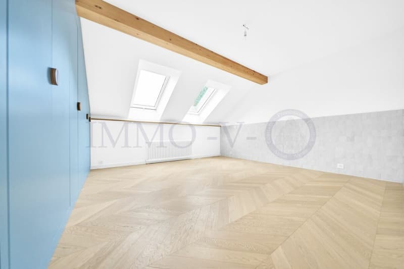 SPACIEUX ATTIQUE RENOVE DE STANDING AVEC EMPLACEMENT IDEAL (5)